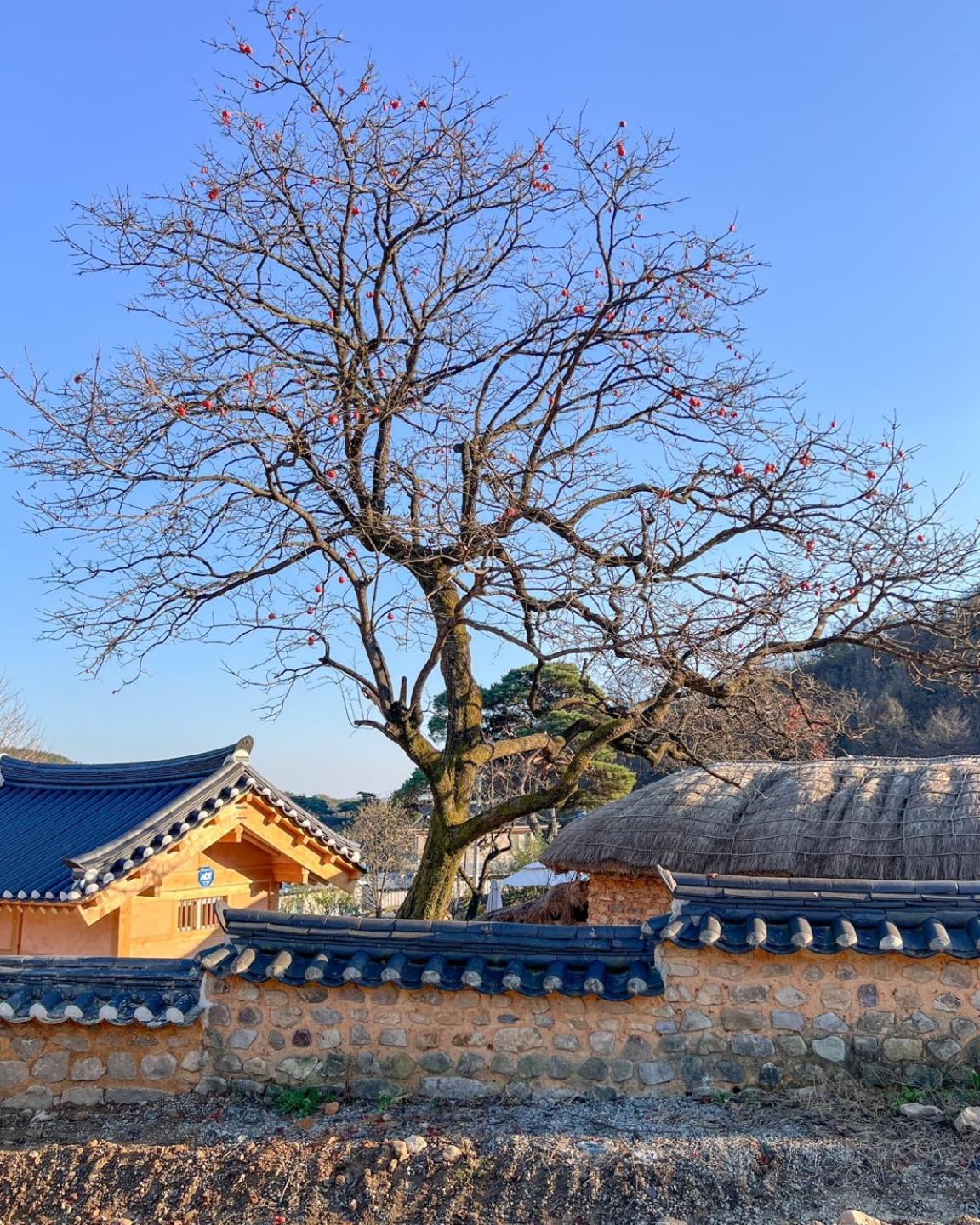 Jukheon Traditional House Andong Extérieur photo